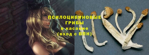 молекула духа Володарск