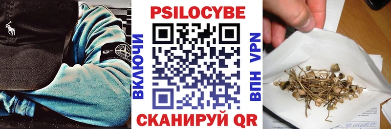 Галлюциногенные грибы Magic Shrooms  Купить закладки  Каменск-Шахтинский 