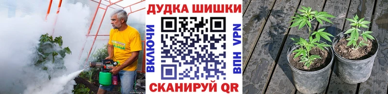 Конопля SATIVA & INDICA Каменск-Шахтинский